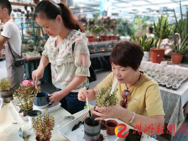桂花街道新項(xiàng)目重塑城市魅力，激發(fā)活力